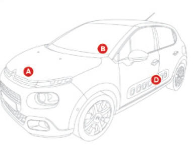 Elementos de identificação