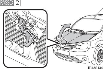 Capô do motor 