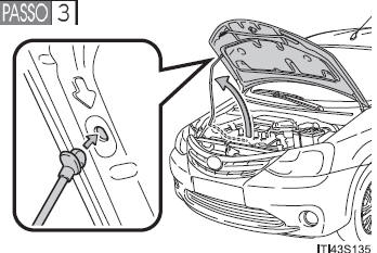 Capô do motor 